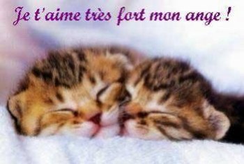 je t'aime tres fort mon ANGE