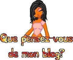 que pense tu de mon blog