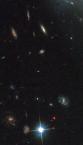 belle etoiles